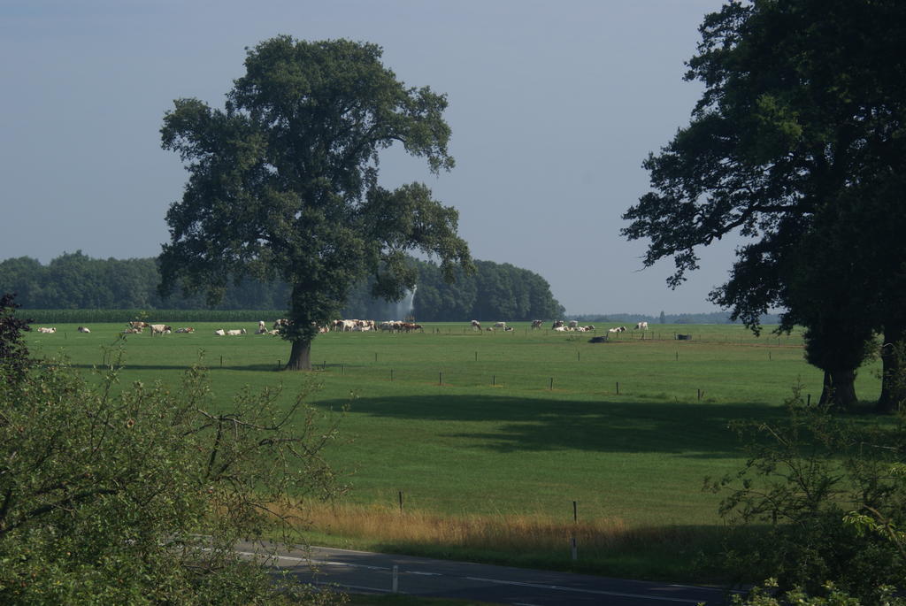 Pension De Hoestinkhof Markelo Luaran gambar